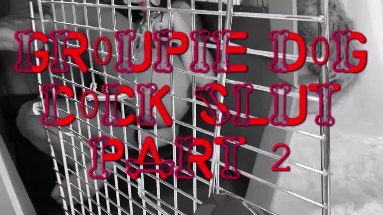 Deluxxx Intro to Groupie Dog Slut Part 2 - fun filthy freebie - Free Sex Video - RedTube