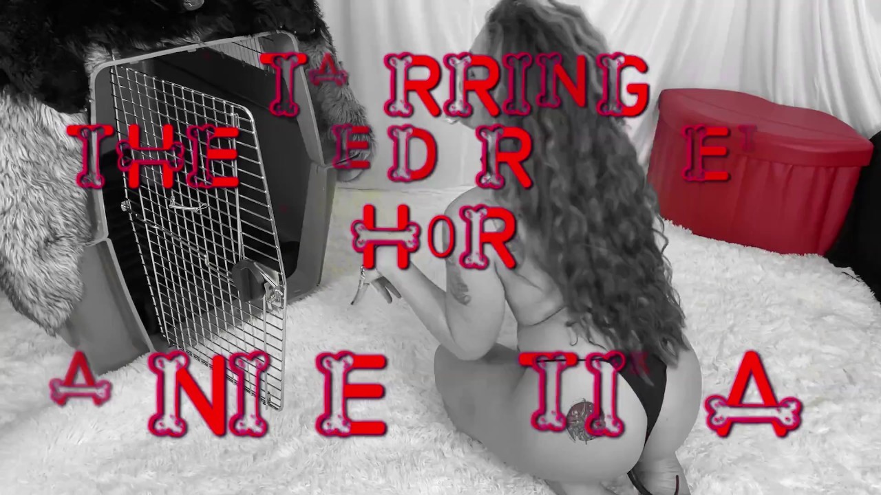 Deluxxx Intro to Groupie Dog Slut Part 2 - fun filthy freebie - Free Sex Video - RedTube