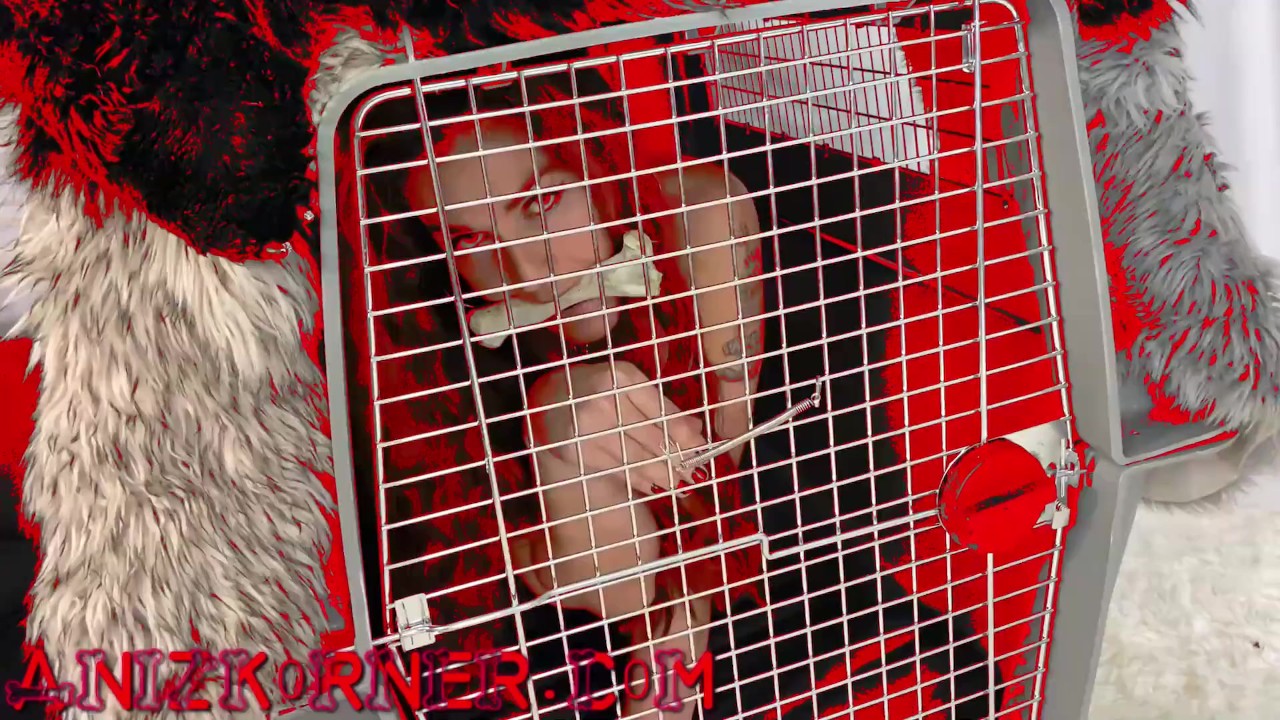 Deluxxx Intro to Groupie Dog Slut Part 2 - fun filthy freebie - Free Sex Video - RedTube