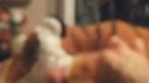 Having sex with her again after a couple drinks 