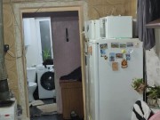 This time it's a duck. 1/16