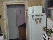 This time it's a duck. 10/16