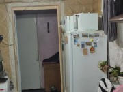 This time it's a duck. 12/16