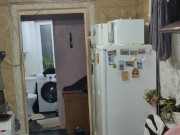 This time it's a duck. 2/16