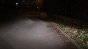 Naked on roadside with passing car
