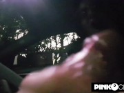 La folle notte di Amandha Fox a Roma in auto 12/16