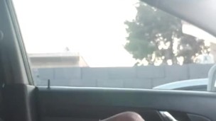 Second nut in the car in the morning