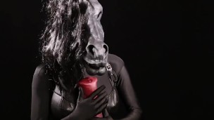 Shemale anthro horse enjoying itself