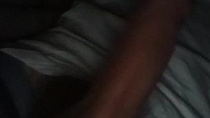 Hard veiny throbbing pulsating penis