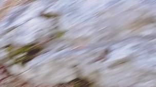 amateur milf flashing on public hiking trail