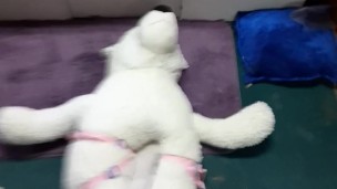 stuffy stomping and crotch rub tease 