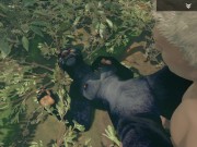 Wild Life / Black Panther Hunts Down Her Prey 8/16