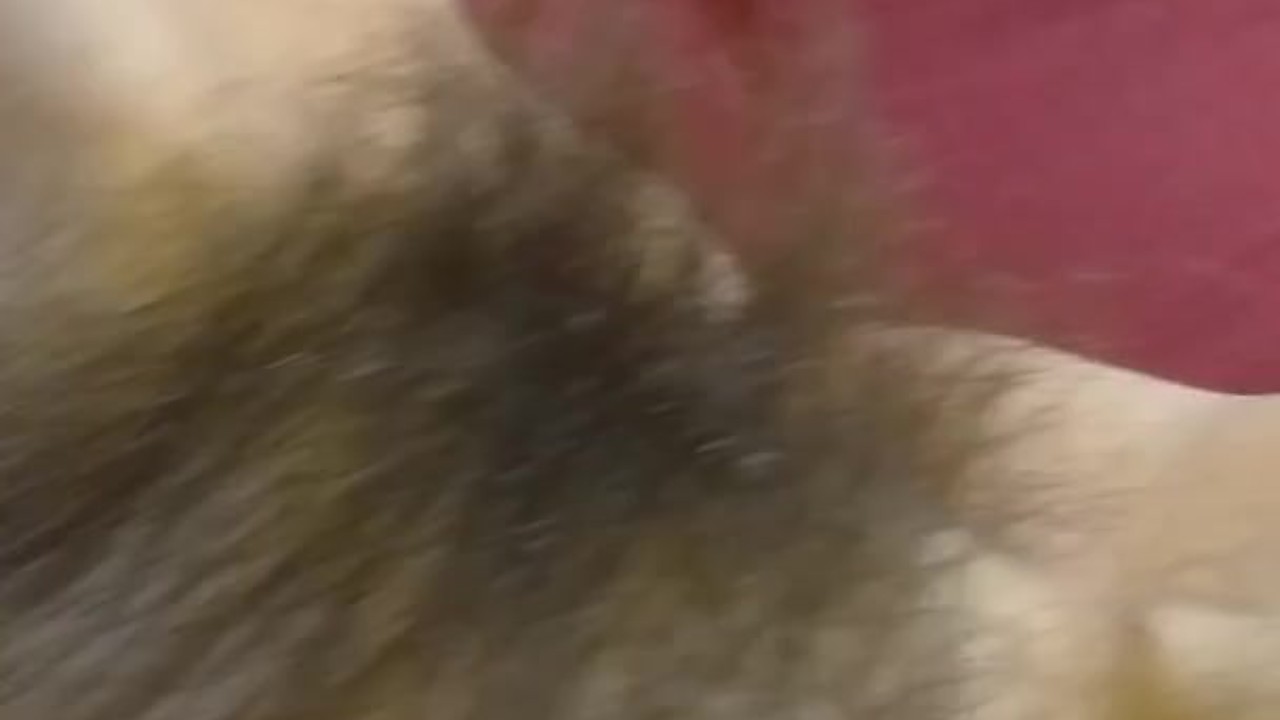 OnlyFan Tipped me to Fuck My Hairy Pussy Gspot LIVE Made in China HAIR BRUSH so I made a Video Too - Darmowe seks wideo - RedTube