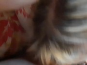 Stuffing her little mouth with cock cum on her titties  14/16