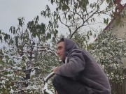 It seems that this parsley is not afraid of snow or frost. 11/16