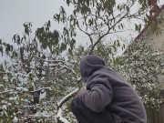 It seems that this parsley is not afraid of snow or frost. 12/16