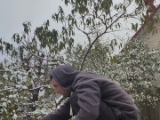 It seems that this parsley is not afraid of snow or frost. 13/16