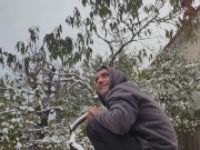 It seems that this parsley is not afraid of snow or frost. 15/16