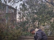 You need to plant some garlic. 10/16