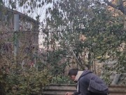 You need to plant some garlic. 13/16