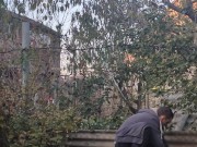 You need to plant some garlic. 15/16