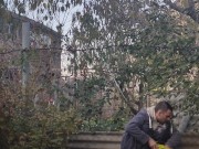 You need to plant some garlic. 4/16