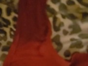 Collared submissive whore pisses her pants. 12/16