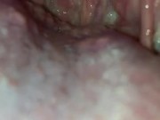 Deep throat tour 15/16