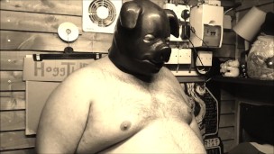 propper pig noise