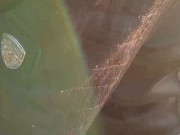 Littleangel84 - Sodomisée par un inconnu sur une aire d'autoroute S01E01 5/16