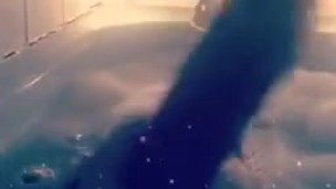 Bath monster dildo play 