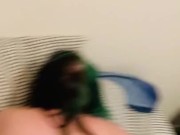 Chubby goth slut gets dicked down by boyfriends 9 inch cock + squirting  14/16
