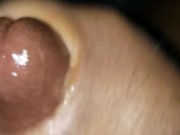 Quick nut