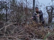 I am pruning the grapes. 14/16