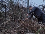 I am pruning the grapes. 16/16