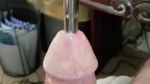 Cock Sounding