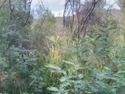 Nude River Saga - Stripping, Pissing, Flashing Kayakers, Fucking 1/16