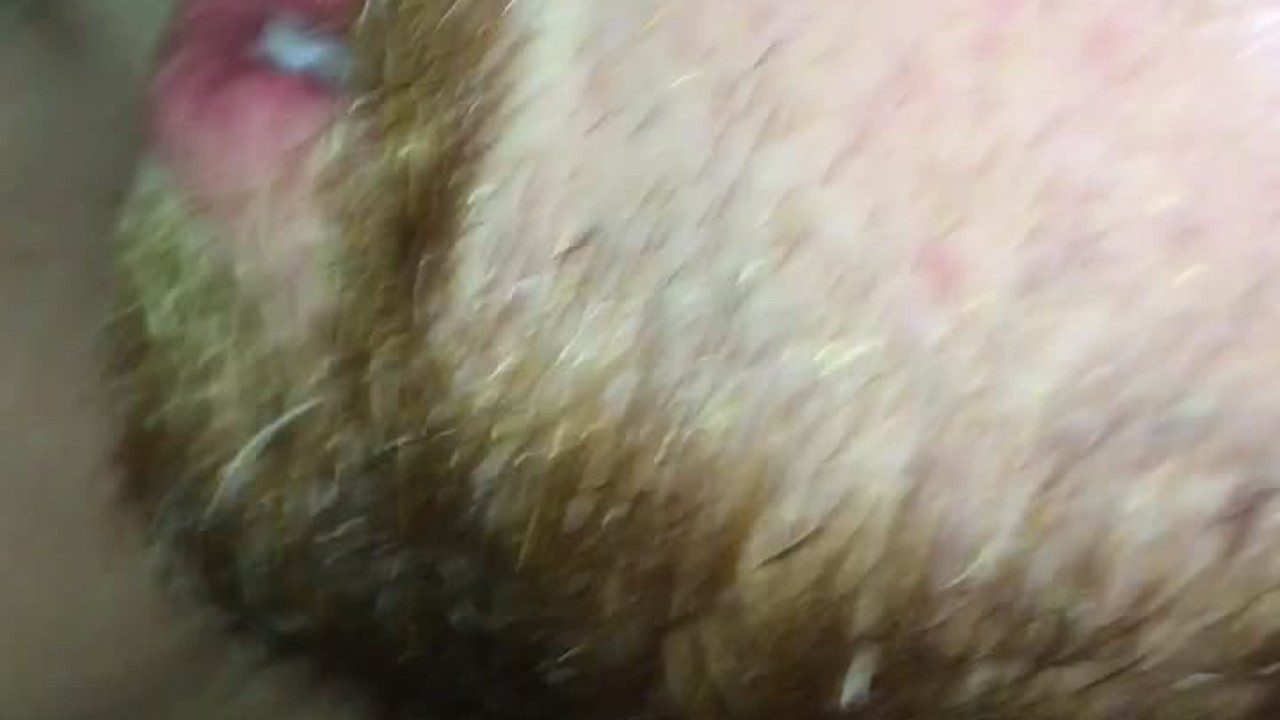 Married Cum Swapping Couple Share His Huge Cum Shot by Snowballing/Cum Kissing/Swallow Bonus Slo-mo - RedTube