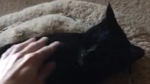 White boy strokes black pussy 