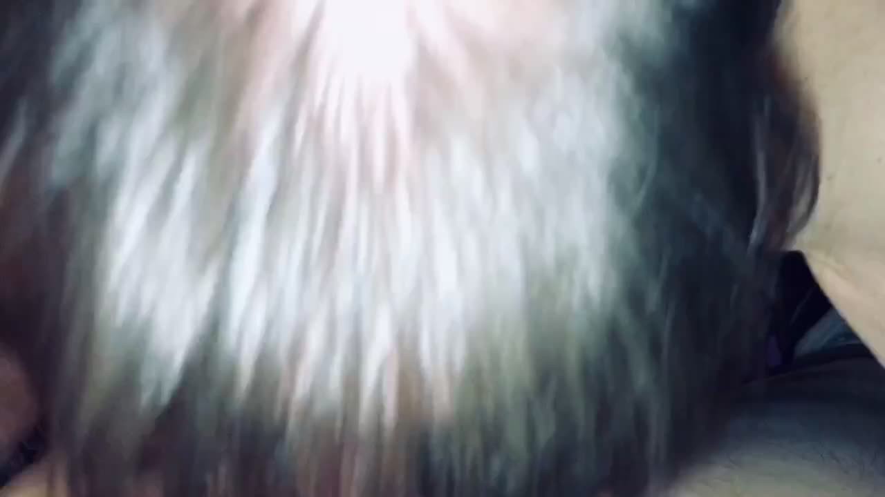 Friends mom sucking my cock and making happy noises when I cum in her mouth. Showing cum and swallow - RedTube