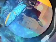 Pandemic creation. Clown makeup and fun house theme. Exotic dancing 12/16