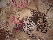 Egyptian Enchantress 16/16