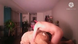 Horny bottom Pup fucks big stuffed bunny