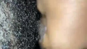 Quick nut