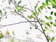 Pareja follando en parque público - Voyeur - 4/16