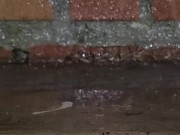 Wetting Outside on Balcony - So desperate and so cold!! 16/16