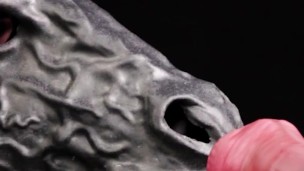Hermaphrodite horse playing with its horsecock