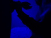 Наказал свою суку за плохое поведение 7/16