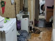 I woke up and was about to leave. 3/16