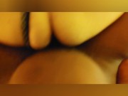 Alegra B's Compilation 8/16